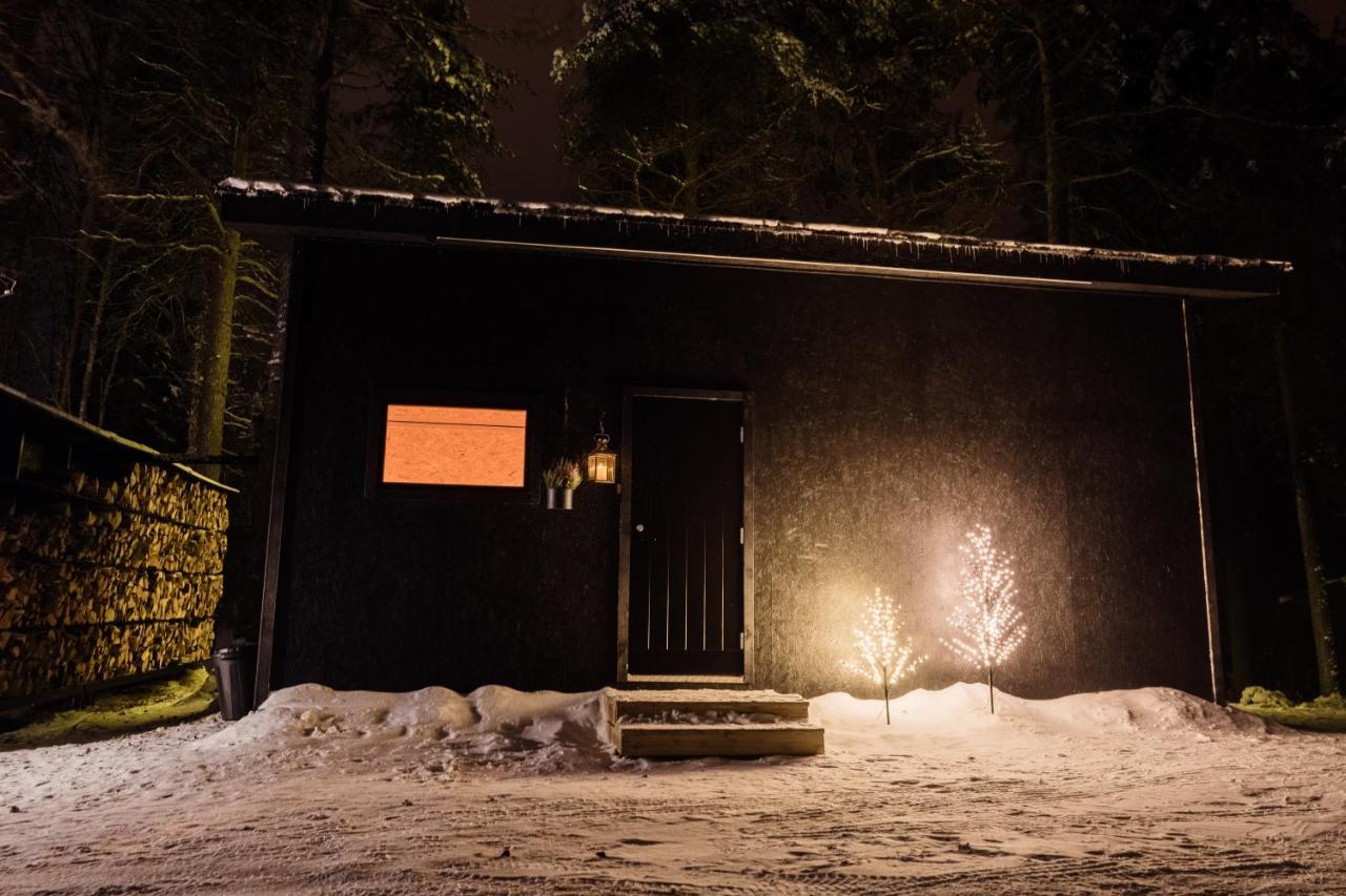 Ternu Minivilla Rovaniemi Bagian luar foto